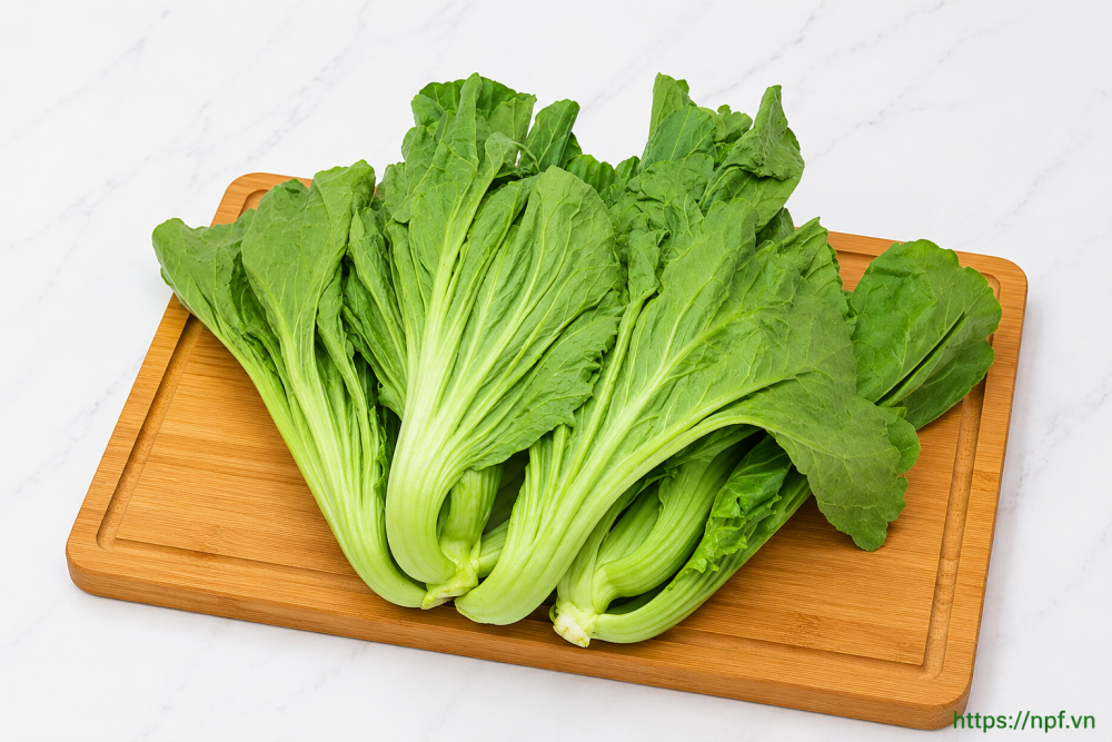 Cải bẹ