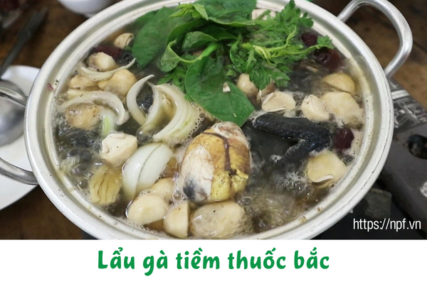 Lẩu gà tiềm thuốc bắc