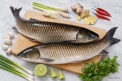 Cá trắm Size > 5kg