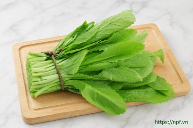 Cải xanh cắt gốc