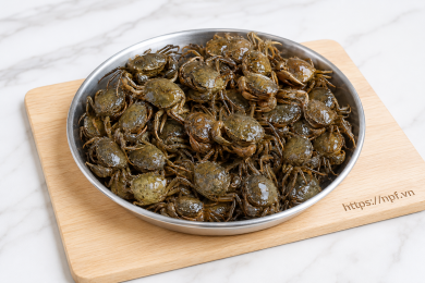 Cua đồng nguyên con
