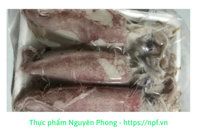 Mực trứng (1Kg) Sầm Sơn