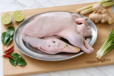 Ngan thịt rồi (Bỏ cổ chân)